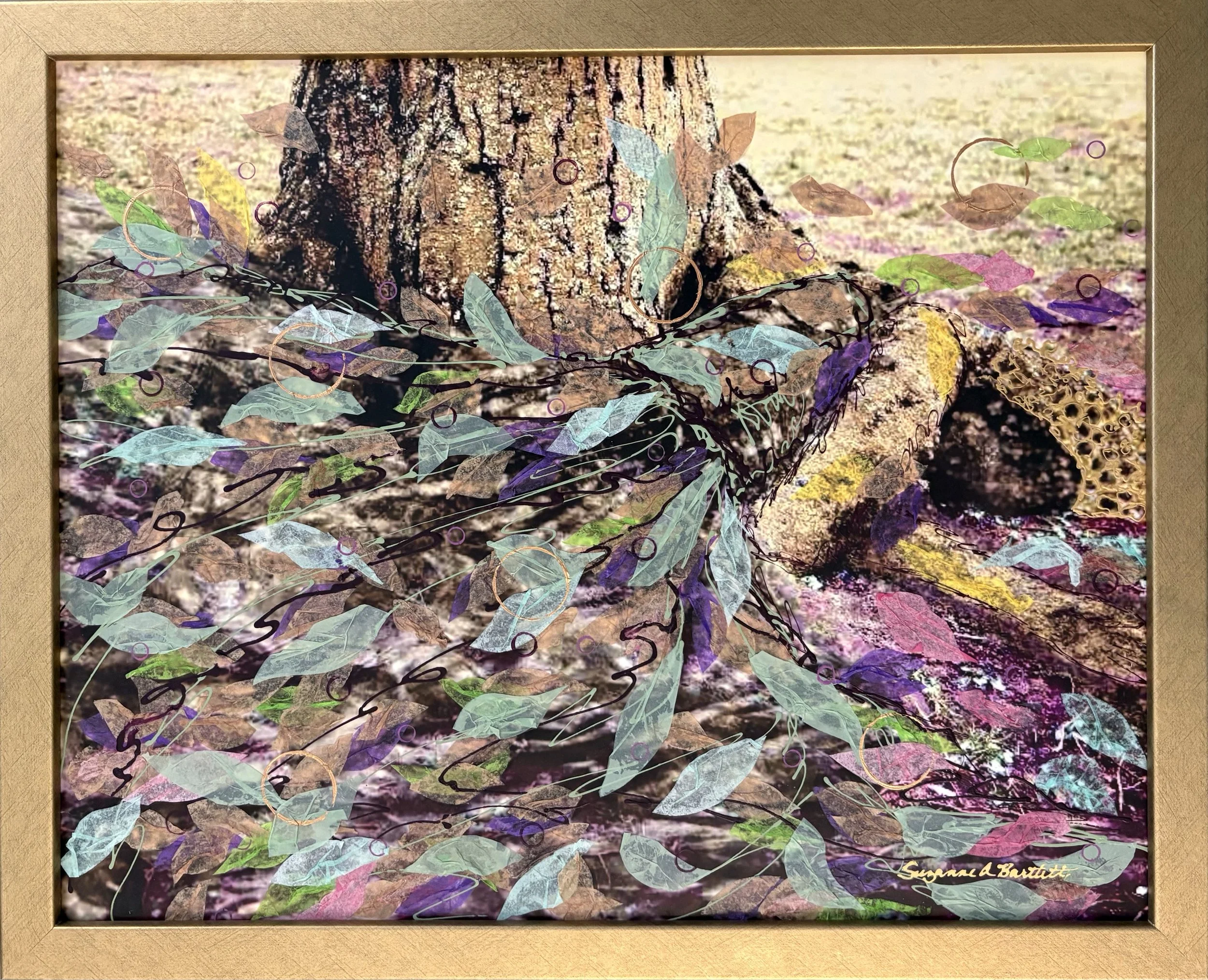 Suzanne Bartlett — Shop — Washington Printmakers Gallery